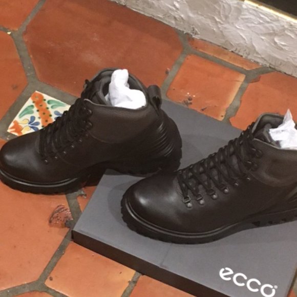 Men\'s Ecco boots